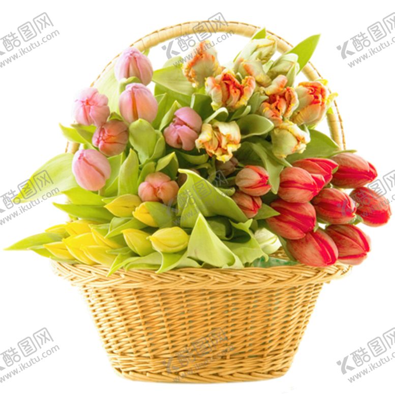 编号：43389805092347499693【酷图网】源文件下载-鲜花