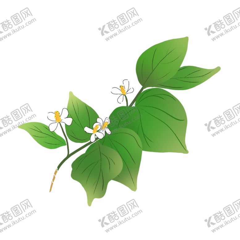 编号：34085802080620017623【酷图网】源文件下载-花草植物