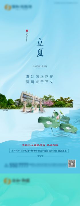 立夏节气荷花系列海报