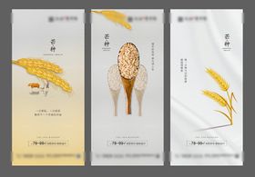 芒种地产微信