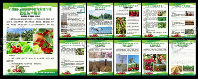 编号：42606109112351486224【酷图网】源文件下载-合作社制度牌樱桃简介