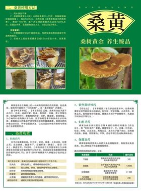 桑黄介绍宣传页