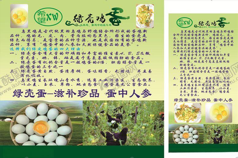 编号：31698609302135432809【酷图网】源文件下载-绿壳鸡蛋绿鸡蛋