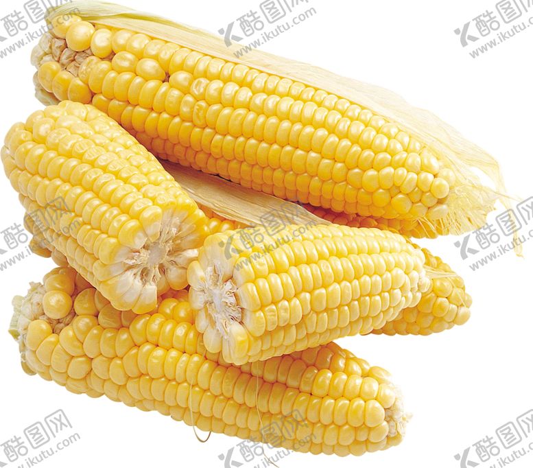 编号：35648909191252243990【酷图网】源文件下载-玉米
