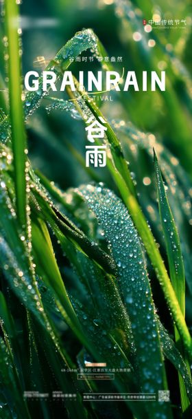谷雨节气海报