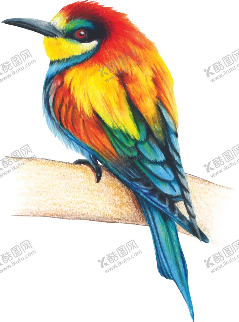 编号：26105709241710025196【酷图网】源文件下载-小鸟插画