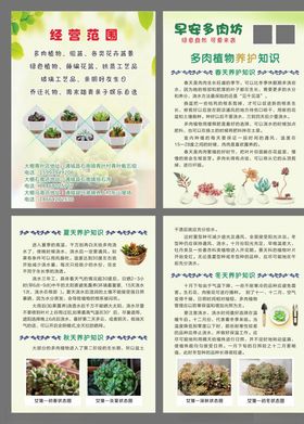 多肉养护手册