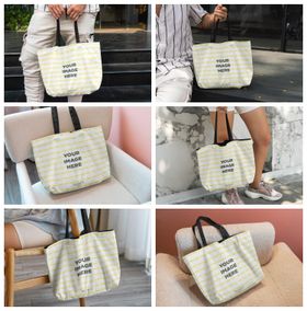 手提袋纸袋包装样机