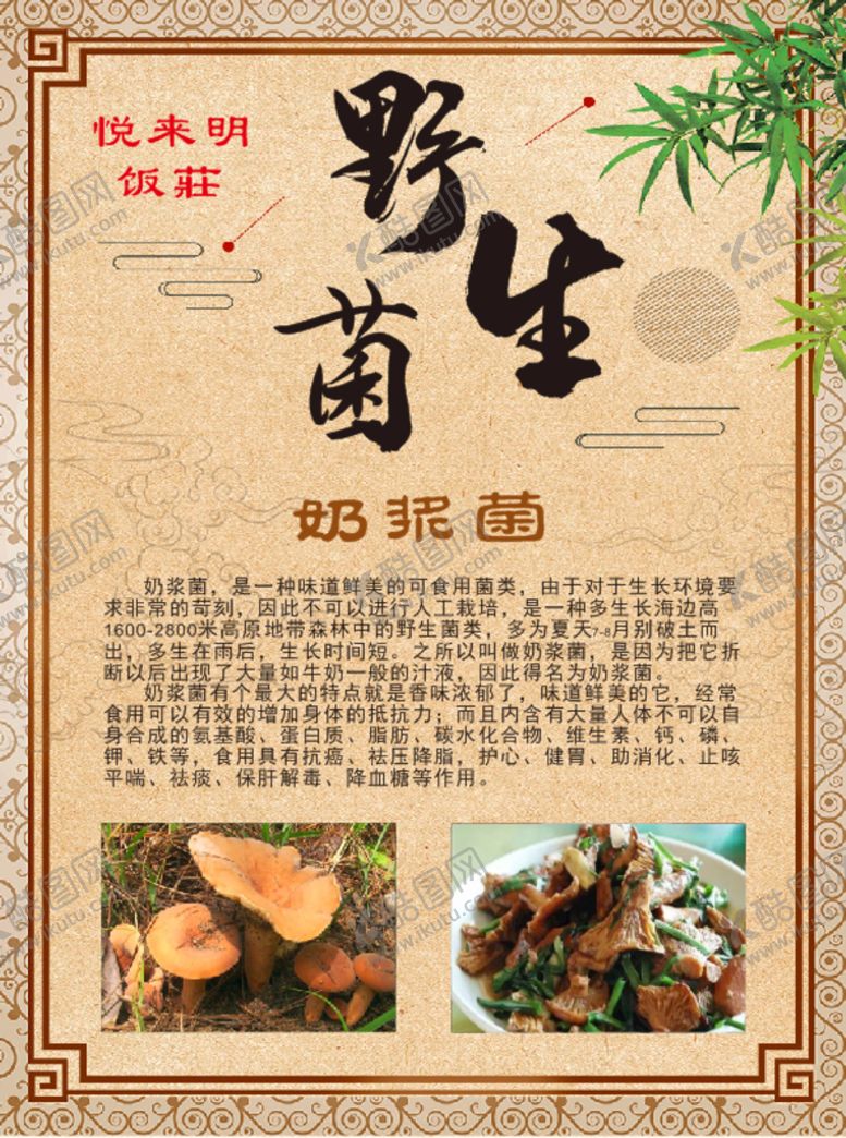 编号：14373510242231139304【酷图网】源文件下载-野生菌