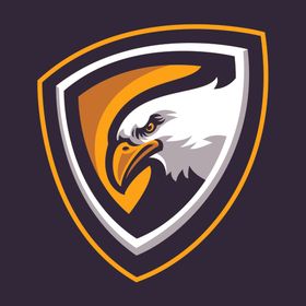 雄鹰LOGO