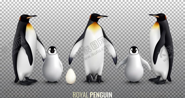 编号：60722010081654457706【酷图网】源文件下载-企鹅背景