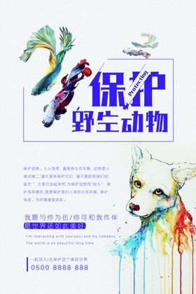 保护野生动物