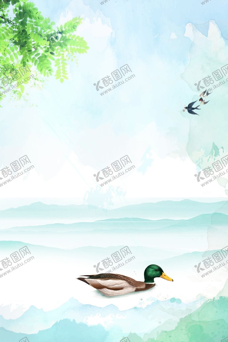 编号：33978509180722228090【酷图网】源文件下载-鸭子游泳