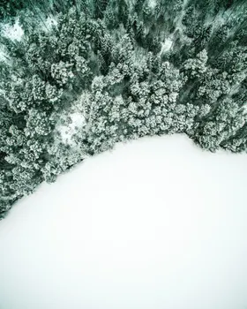 山林