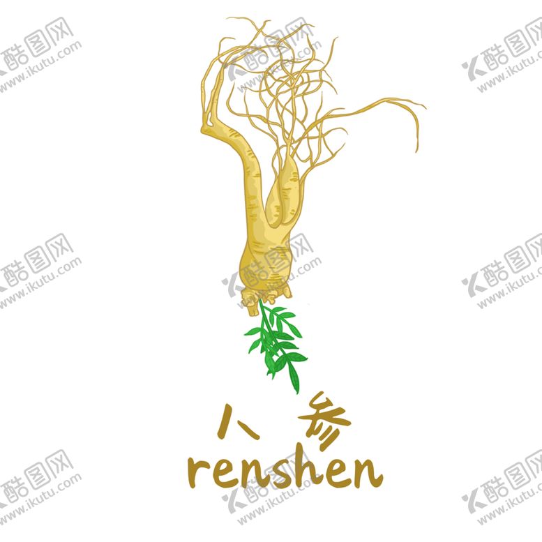 编号：87149505050847323673【酷图网】源文件下载-草本植物