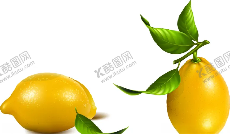 编号：95482404060731463846【酷图网】源文件下载-柠檬