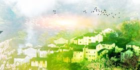 绿色背景