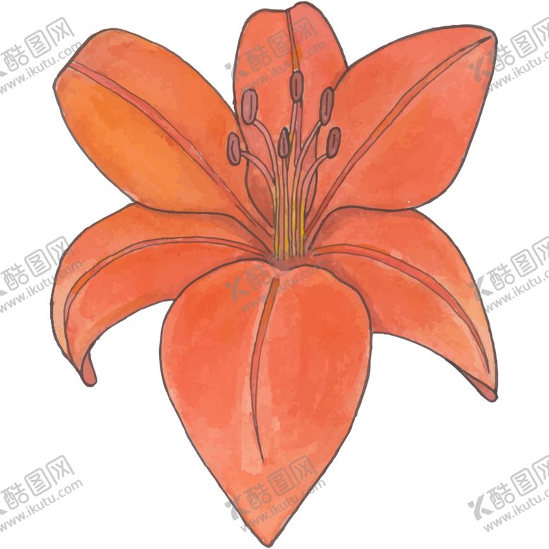 编号：82809210060303517549【酷图网】源文件下载-花图片