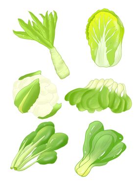蔬菜元素