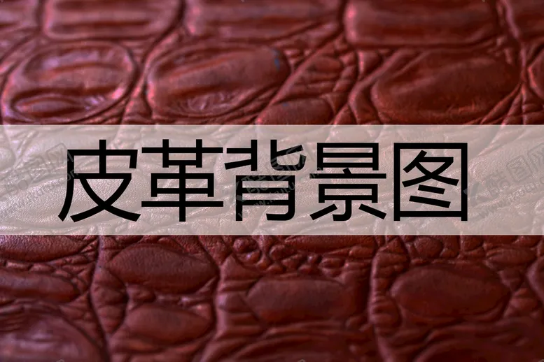 编号：48027610061602195789【酷图网】源文件下载-皮革