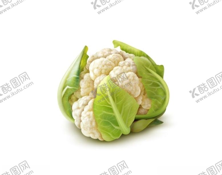 编号：37258404211621531816【酷图网】源文件下载-菜花