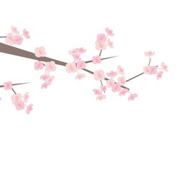 樱花素材