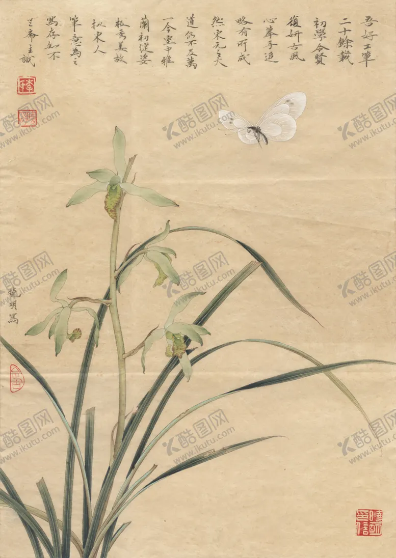 编号：11907706251301324269【酷图网】源文件下载-中式古典花鸟工笔画