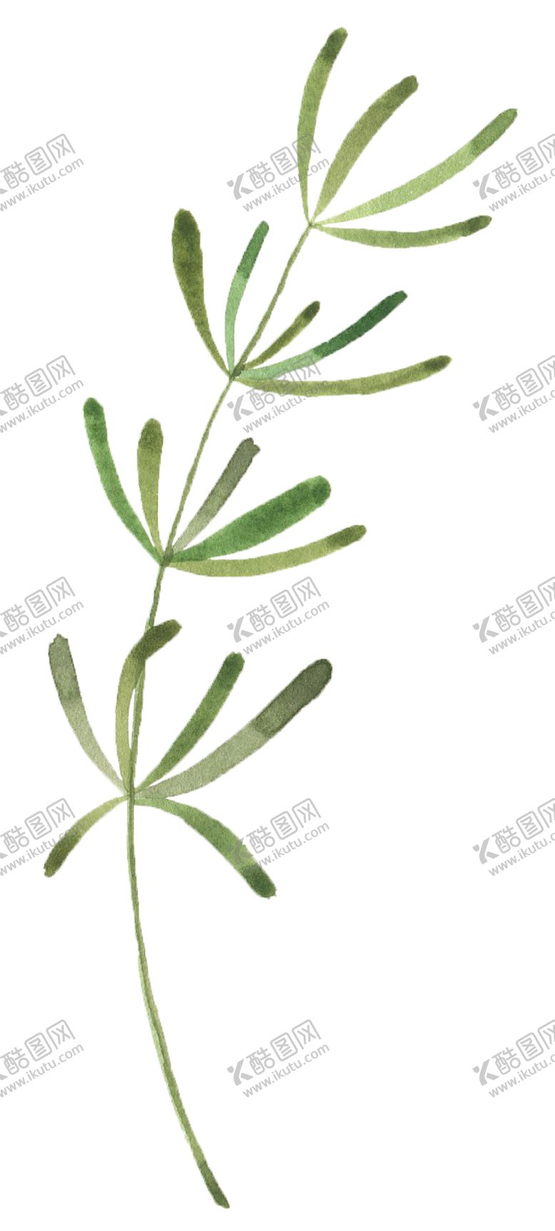 编号：91323009210241396598【酷图网】源文件下载-手绘植物花卉