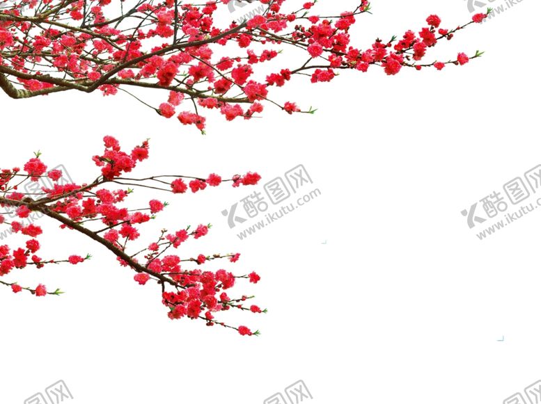 编号：85854410190039337769【酷图网】源文件下载-桃花