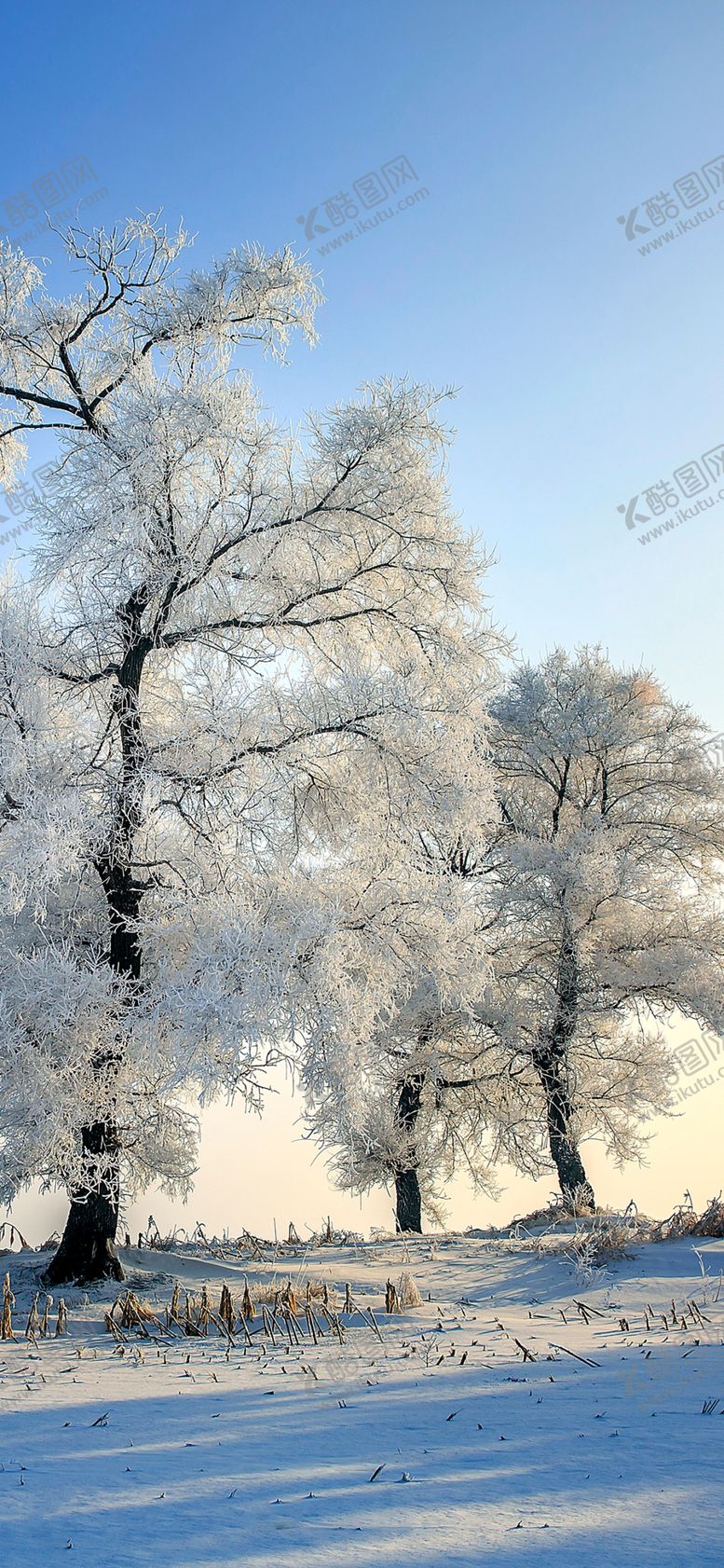编号：70484107032037511664【酷图网】源文件下载-手机壁纸