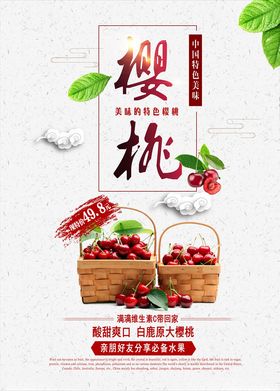 樱桃采摘新鲜樱桃图片