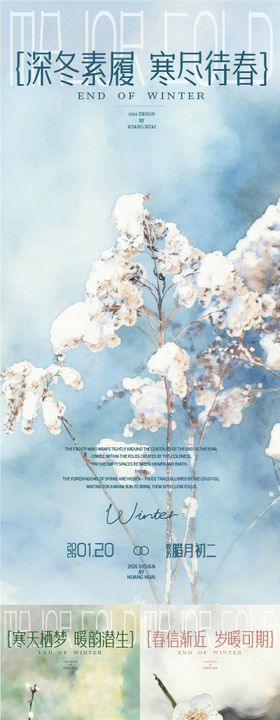 大寒节气梅花插画海报