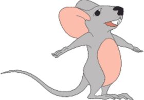 老鼠耗子灰鼠四害