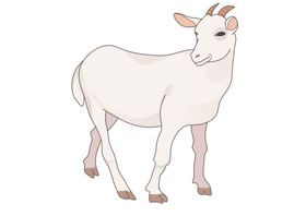手绘动物
