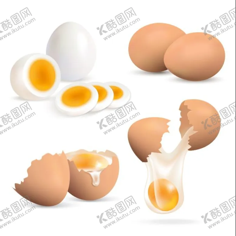 编号：40968210050716264520【酷图网】源文件下载-煮熟和生鸡蛋蛋黄真实素材
