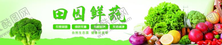 编号：37434705241335347301【酷图网】源文件下载-田园鲜蔬