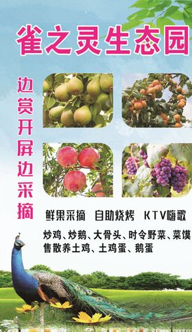 孔雀生态园