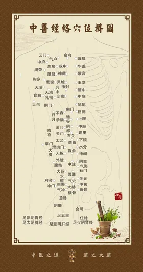 经络穴位图