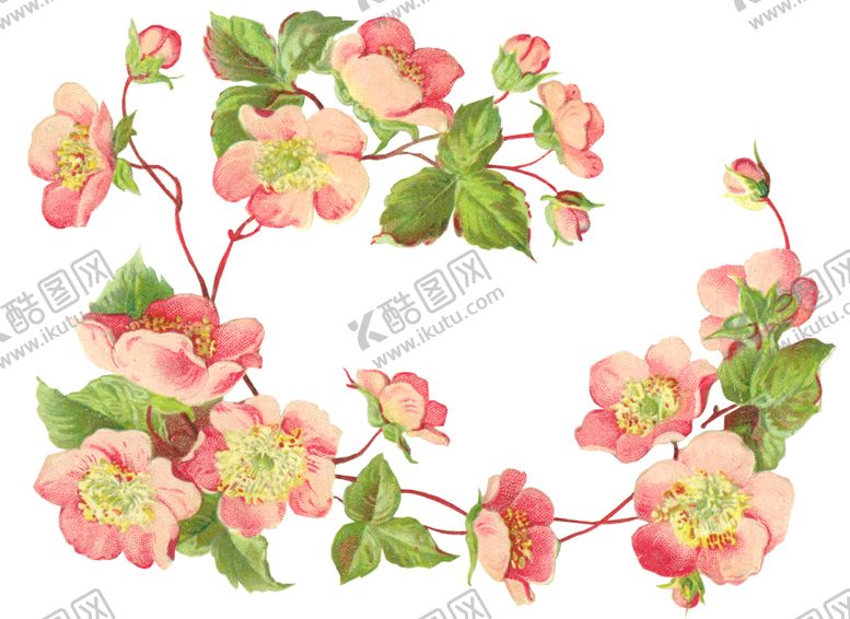 编号：39409210081038331215【酷图网】源文件下载-复古鲜花主题装饰图案