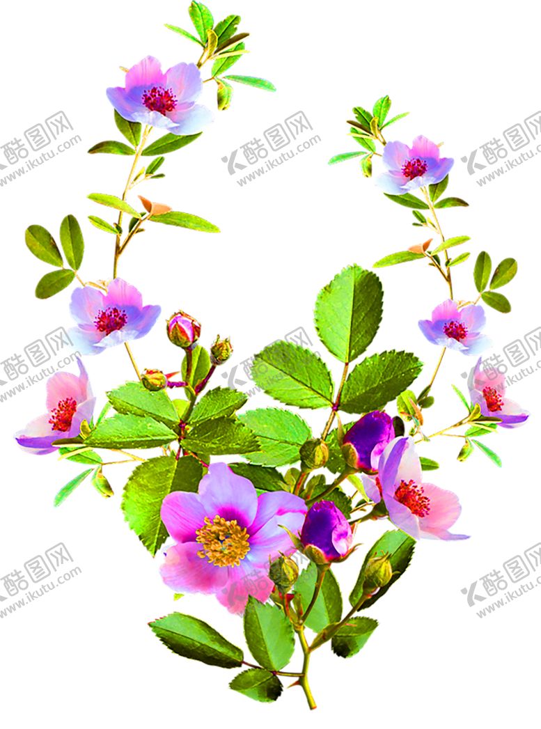 编号：94973309230158028176【酷图网】源文件下载-花素材
