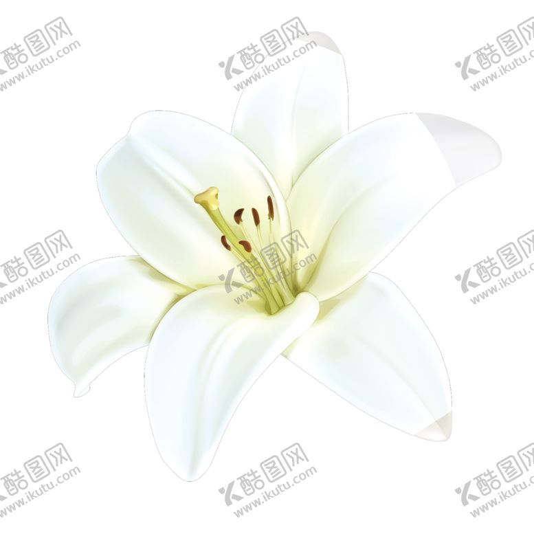 编号：34017605181014412426【酷图网】源文件下载-手绘植物花卉