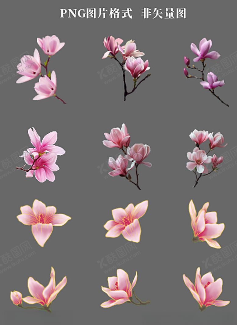 编号：86849904040046015365【酷图网】源文件下载-白玉兰素材