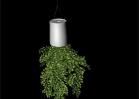 花草模型植物模型花卉模型