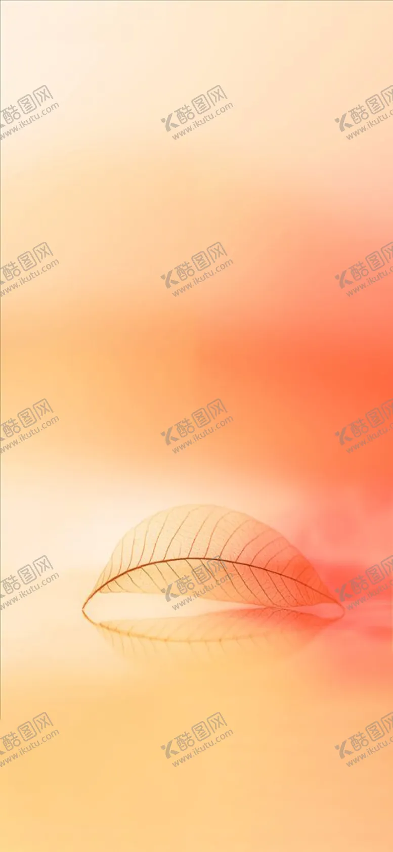 编号：31371607020319545985【酷图网】源文件下载-秋分