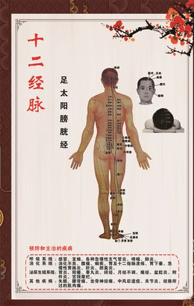 足太阳膀胱经
