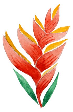 清新水彩植物树叶插画