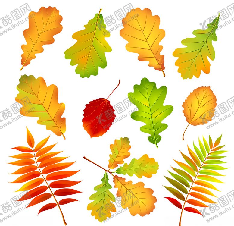 编号：36013311012345455939【酷图网】源文件下载-手绘树叶元素