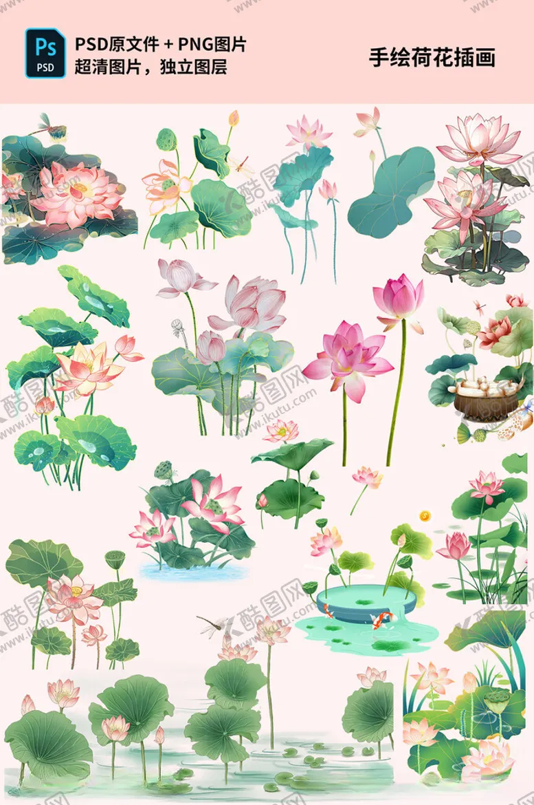 编号：60720202150959023316【酷图网】源文件下载-手绘荷花插画