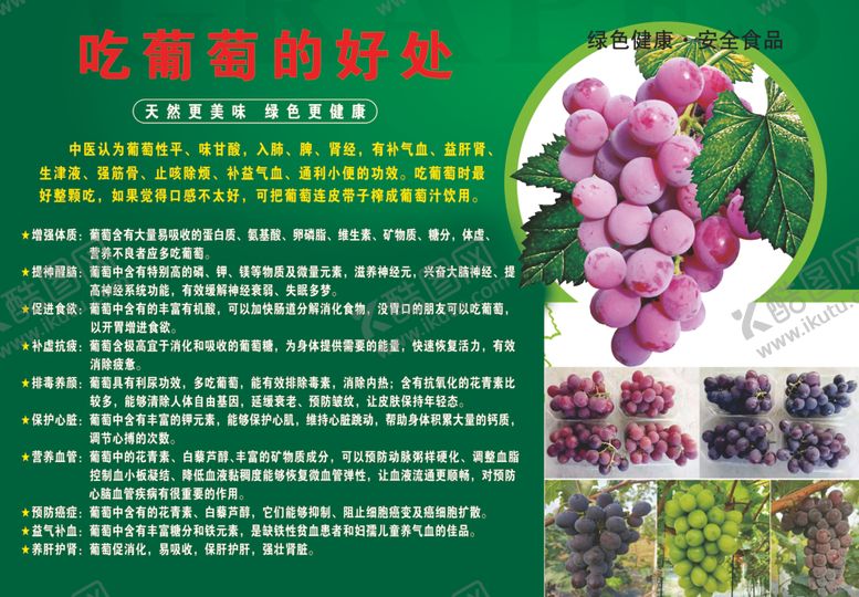编号：35923906270753006906【酷图网】源文件下载-吃葡萄的好处