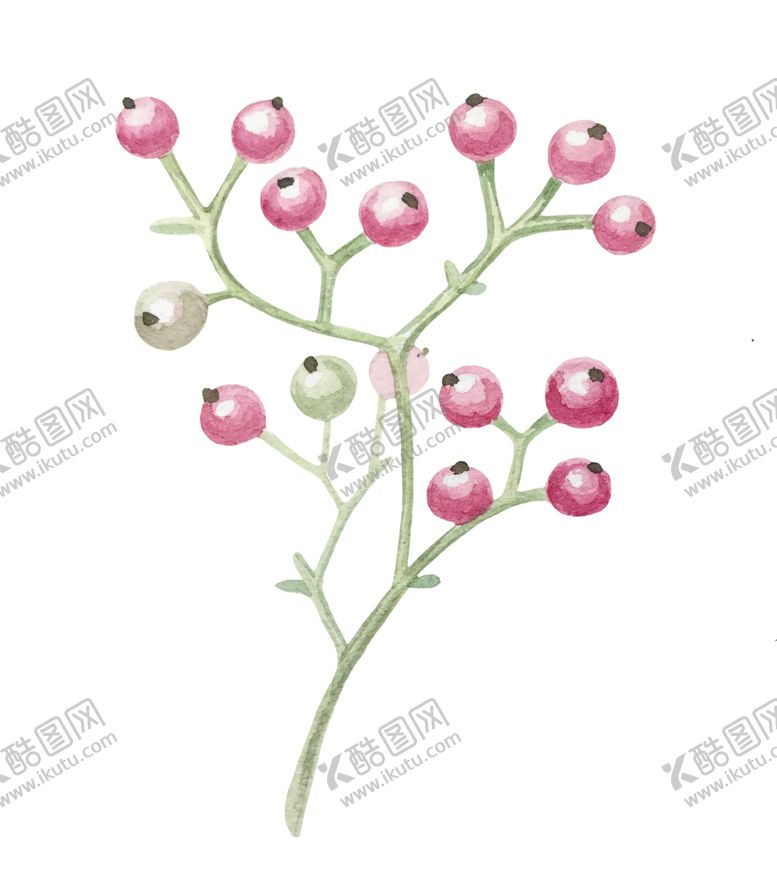 编号：47172607121559281295【酷图网】源文件下载-手绘植物
